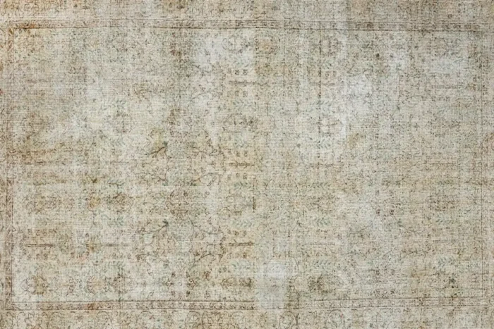 Whispering Relic Washable Rug - Image 1