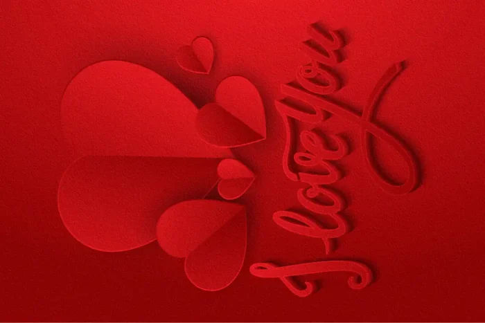 Scarlet Love Rug - Image 1